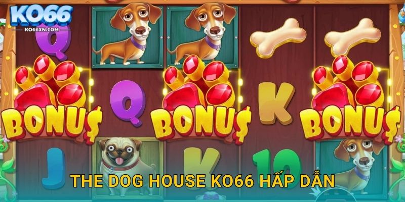 The Dog House KO66 hấp dẫn