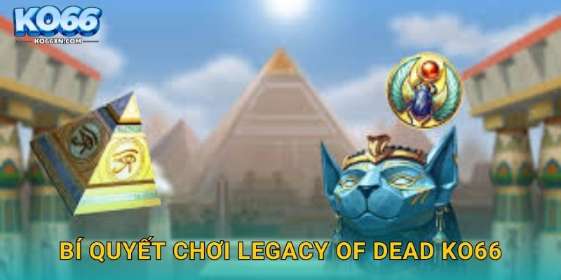 Bí quyết chơi Legacy of Dead KO66