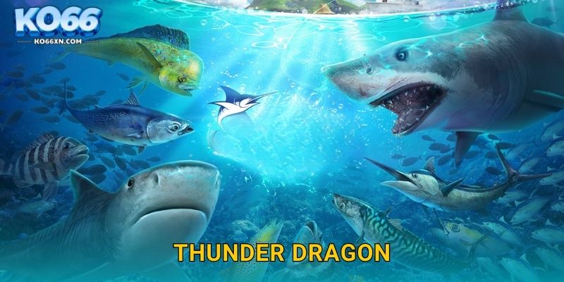 Thunder Dragon KO66 và Hành Trình Săn Rồng Biển