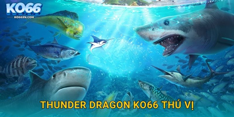 Thunder Dragon KO66 thú vị