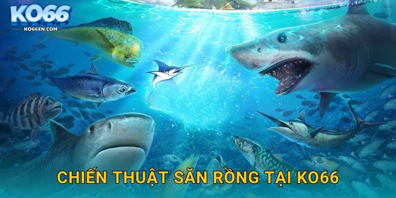 Chiến thuật săn rồng tại KO66