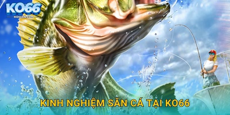 Kinh nghiệm săn cá tại KO66