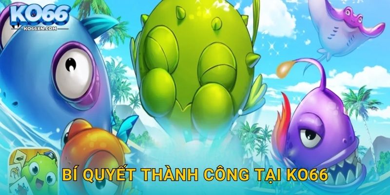 Bí quyết thành công tại KO66